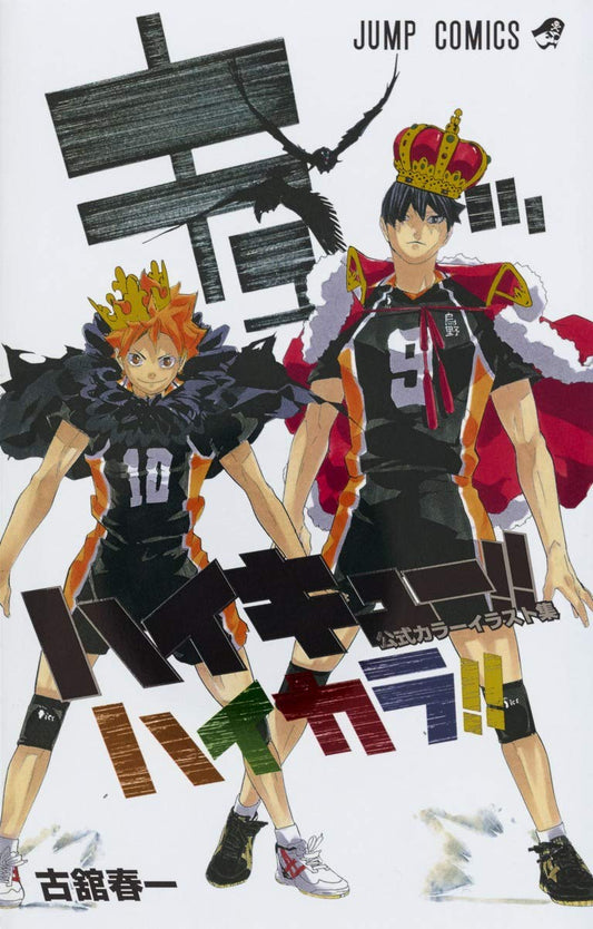 Haikyuu - Artbook