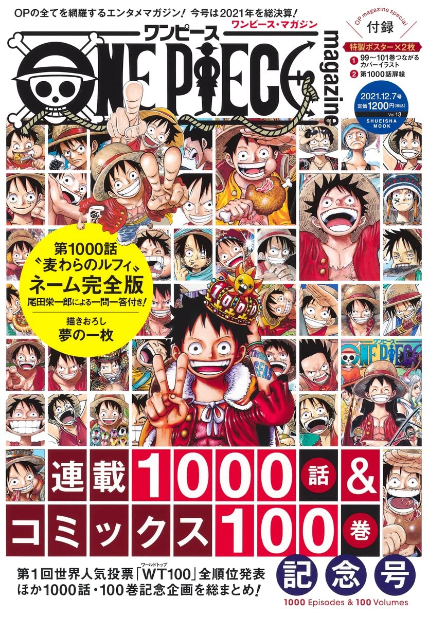 One Piece - Magazine Vol 13