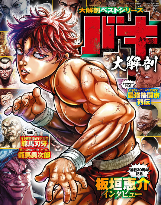 Baki - GuideBook 3